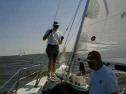 Finn On Foredeck